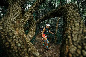 BIB: 
                            <button type="button" onclick="openModal(25668742)" class="btn btn-primary btn-sm float-right btn-popup" data-toggle="modal" data-target=".modal-high-quality">
                        <i class="fas fa-shopping-cart"></i> Add to Cart
                    </button>
                                            <button type="button" onclick="isThisMe(25668742, true)" class="btn btn-success btn-sm float-right btn-popup btn-isme hidden" data-toggle="tooltip" data-placement="bottom" title="นี่คือรูปของคุณใช่ไหม คลิกที่นี่เพื่อเอาเข้าอัลบั้ม">
                        <i class="fas fa-plus"></i> Add to album
                    </button>
                    <button type="button" onclick="isThisMe(25668742, false)" class="btn btn-warning btn-sm float-right btn-popup btn-isnotme hidden">
                        <i class="fas fa-ban"></i> Remove from album
                    </button>